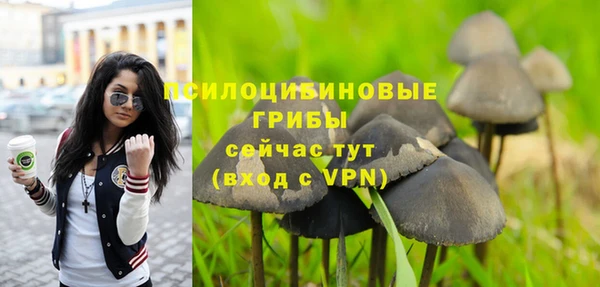 круглые Кукмор