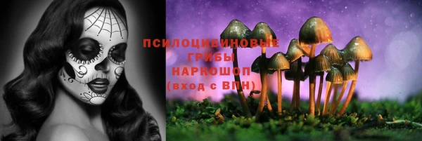мяу мяу мука Куйбышев