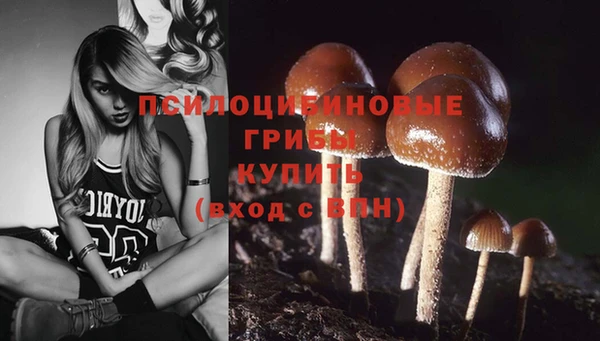 мяу мяу мука Куйбышев