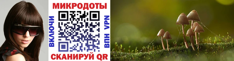 Галлюциногенные грибы мухоморы  Нижний Новгород 
