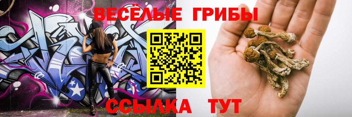 Галлюциногенные грибы Magic Shrooms Нижний Новгород