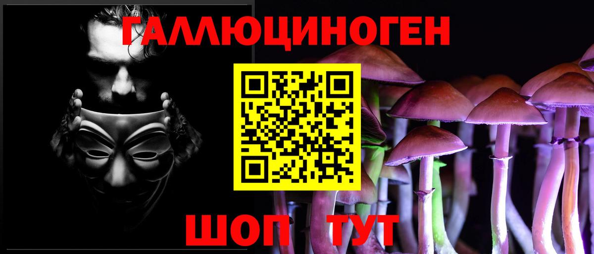 Галлюциногенные грибы Cubensis  что такое   Нижний Новгород  Вход с VPN 